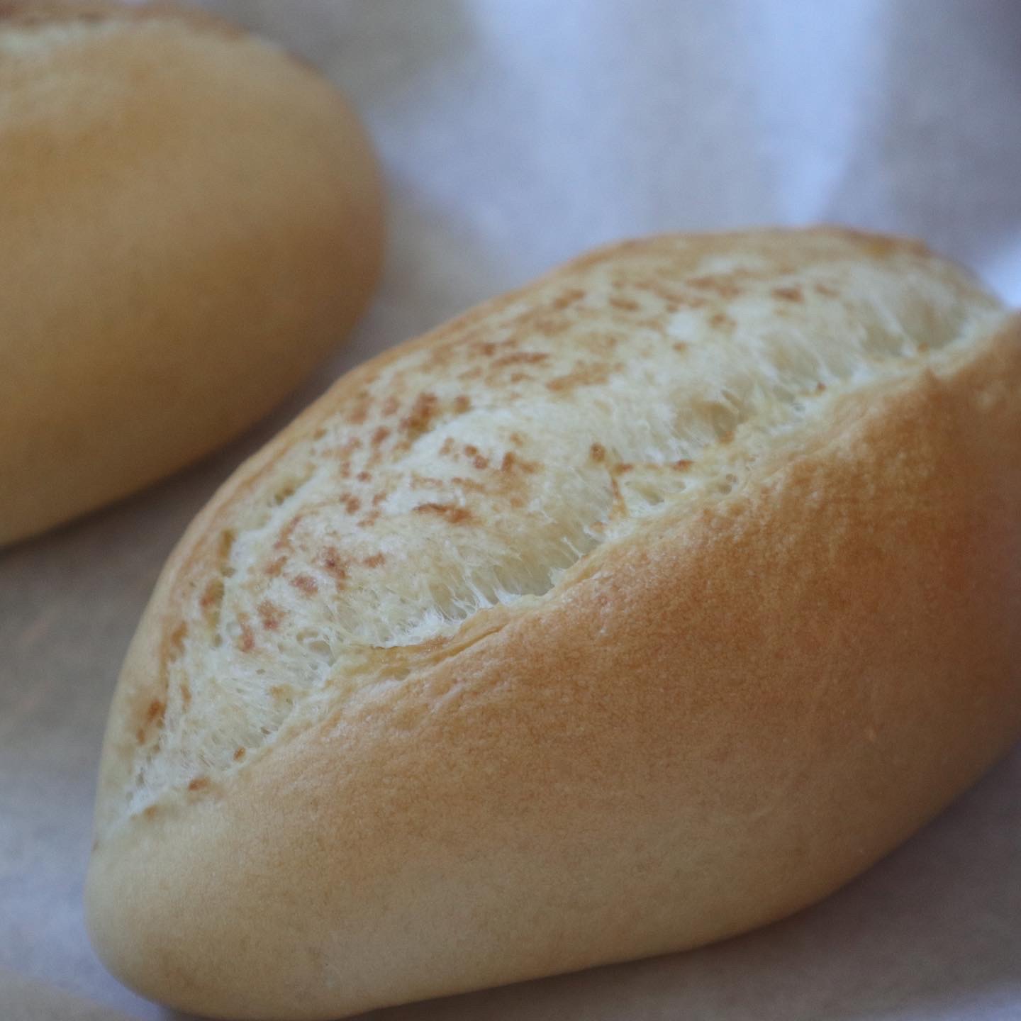 今日焼いたパンは